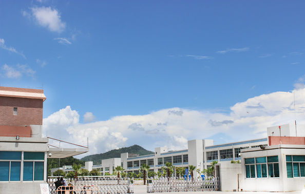 الاستثمار في شركة تعطي الربح نسبة من رأس المال